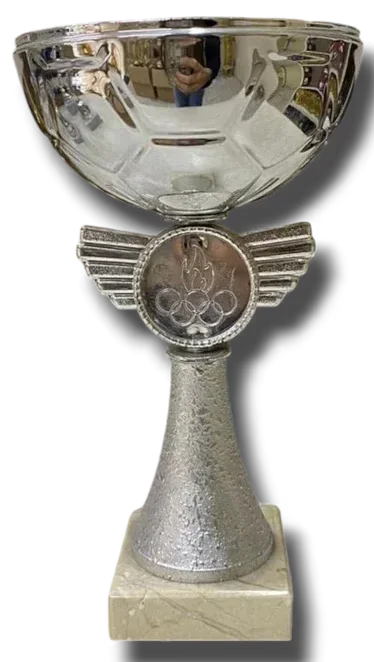 COPA METÁLICA MODELO: 5