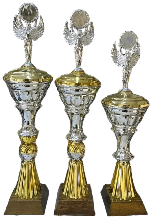 TROFEO COPA DIS ALADA